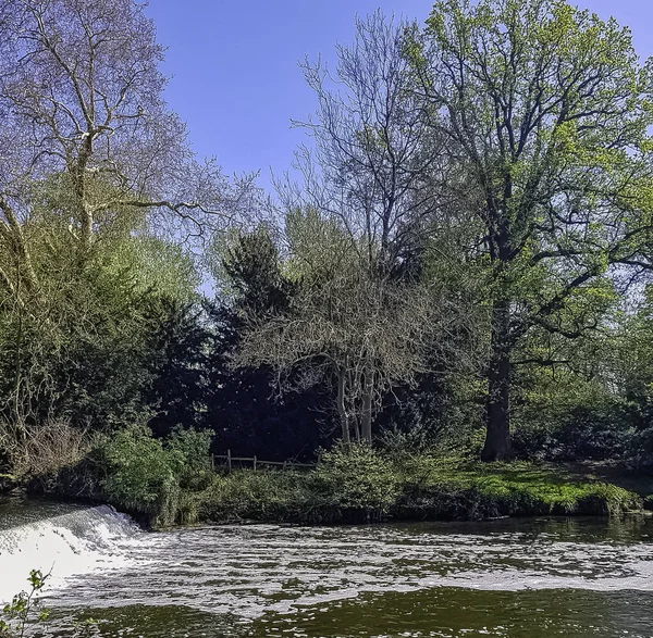 Каскад River Avon Warwick Warwickshire United Kingdom — стоковое фото