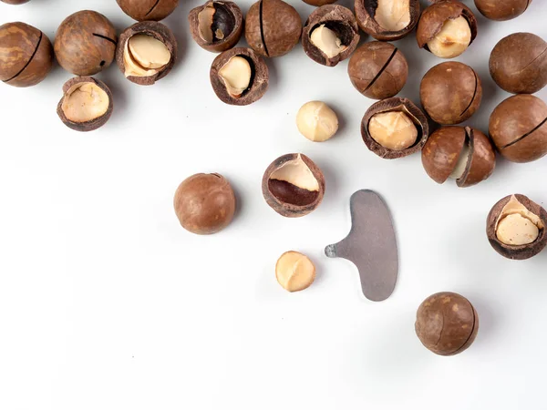 Set Aus Macadamia Nüssen Und Nussknacker Auf Weißem Hintergrund Macadamia — Stockfoto