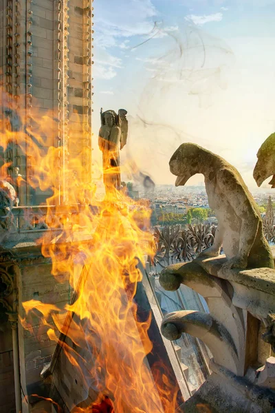 Quimeras Chamas Notre Dame Paris — Fotografia de Stock