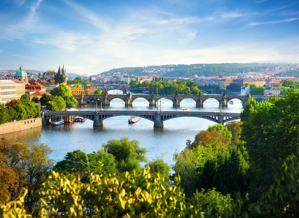 Row Bridges Prague Summer Day — Stock Photo, Image