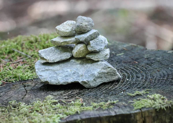 Stenen Als Piramide Gestapeld Een Boomstronk — Stockfoto