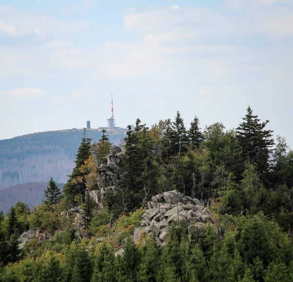 Skalní Útvar Les Pohoří Harz — Stock fotografie