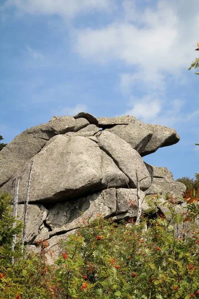 Skalní Útvar Les Pohoří Harz — Stock fotografie