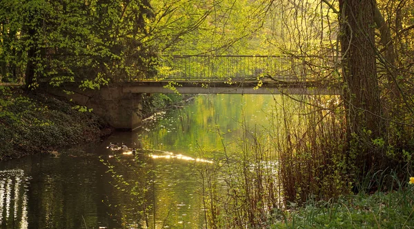 Sonnenaufgang Mit Einem Kleinen Fluss Und Enten — Stockfoto