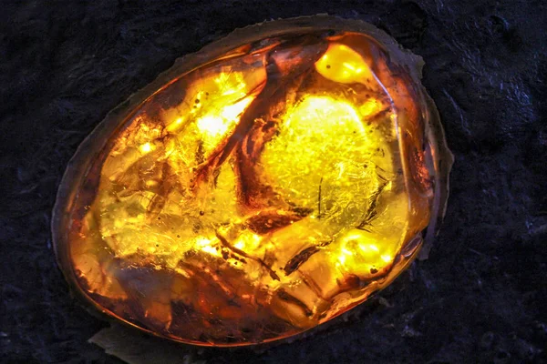 Close Amber Different Variations — Stock Photo, Image