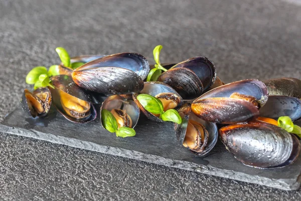 Gekochte Muscheln Auf Der Schiefertafel — Stockfoto