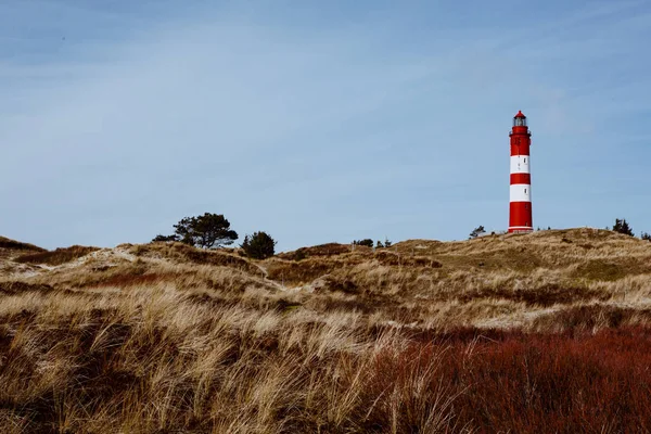 stock image Picturesque landscape with red lighthouse on the hill in distance against cloudy sky and dry grass in foreground. Idyllic view from low angle, Amrum, Germany, Schleswig-Holstein