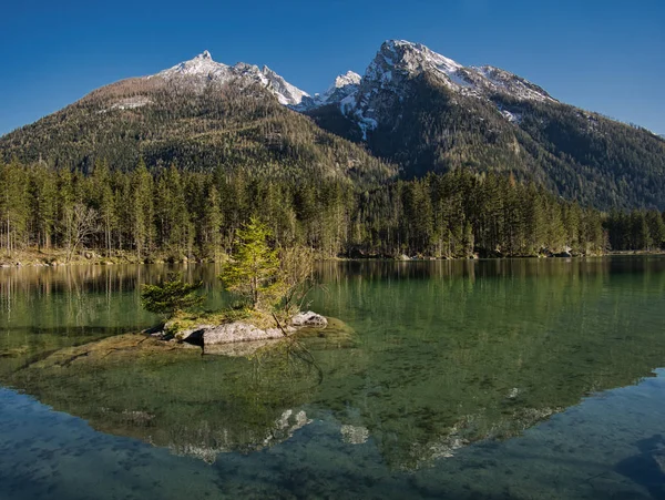 Uma Ilha Muito Pequena Com Flores Árvores Hintersee — Fotografia de Stock