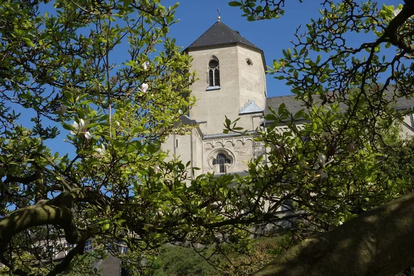 Moenchengladbach的修道院 前本笃会修道院圣维特斯教堂 — 图库照片