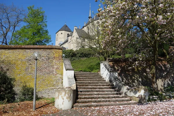 Minsterbasiliek Moenchengladbach Voormalige Benedictijner Abdijkerk Vitus — Stockfoto