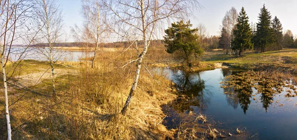 Fjäder Antenn Landskap Panorama Över Sjön Skogen Vid Morgon Tid — Stockfoto