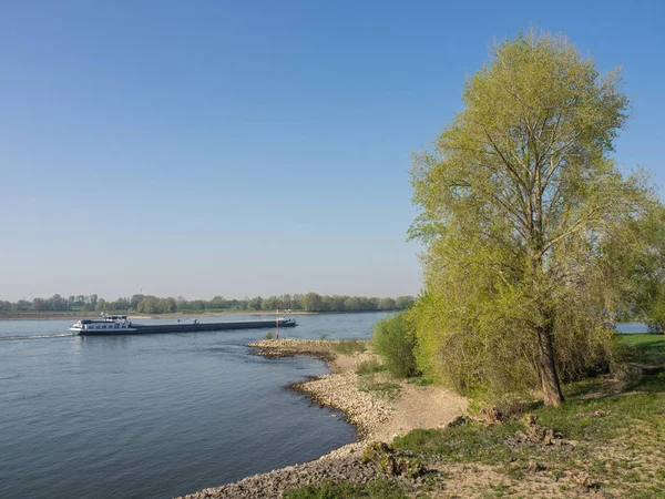 Floden Rhen Tyskland — Stockfoto