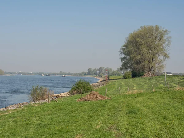 Floden Rhen Tyskland — Stockfoto