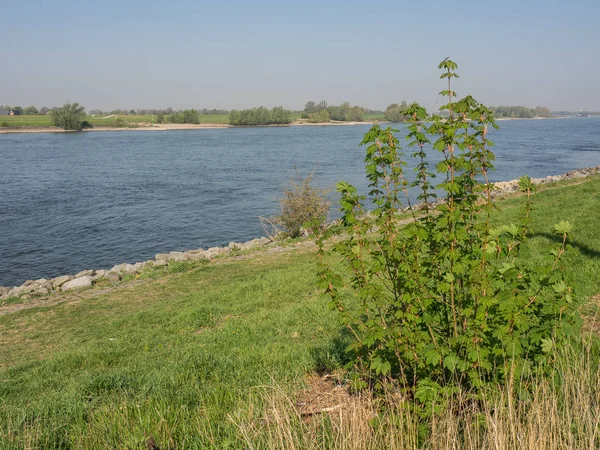 Rio Rhine Alemanha — Fotografia de Stock