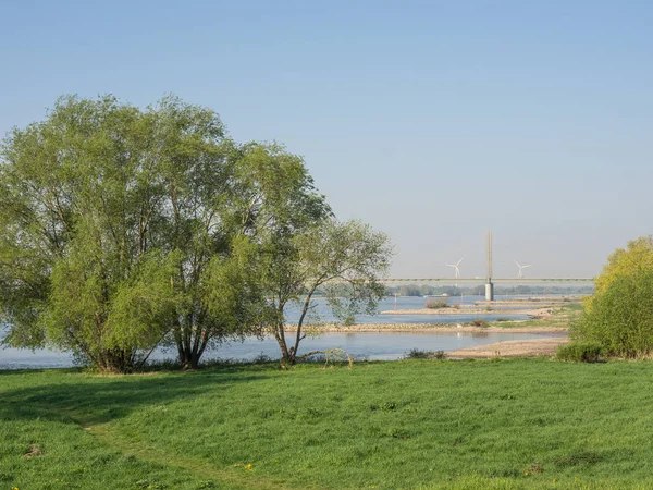 Rivier Rijn Duitsland — Stockfoto