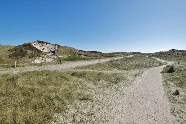 Julianadorp Aan Zee Nin Kumullarında Den Helder Bölgesi Hollanda Bölgesi — Stok fotoğraf