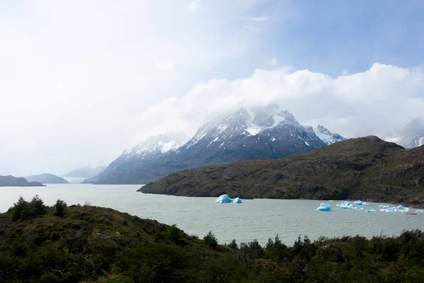 Icebergs Grey Lake Torres Del Paine National Park Chile Chilean — Stock Photo, Image