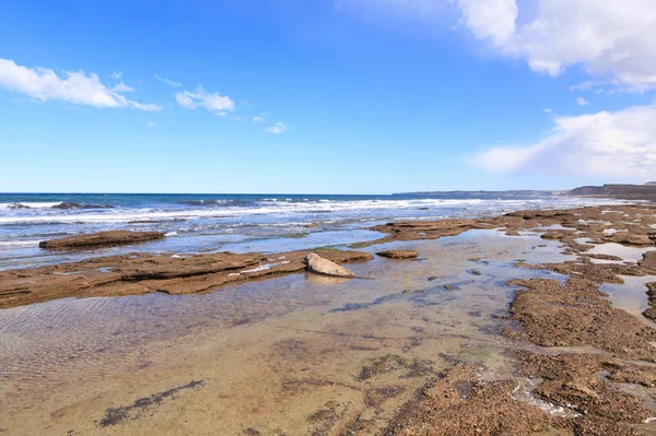 Elefántfóka Parton Közelről Patagónia Argentína Isla Escondida Strand Argentin Vadvilág — Stock Fotó