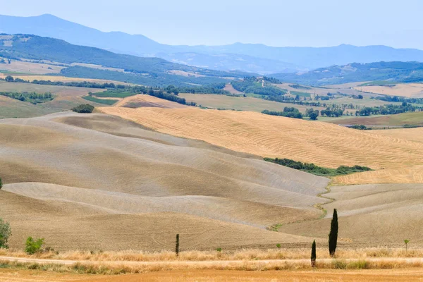 Kurvor Bakgrund Tuscany Hills Sommarlandskap Natur Bakgrund — Stockfoto