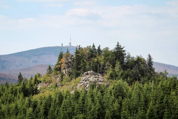 Skalní Útvar Les Pohoří Harz — Stock fotografie