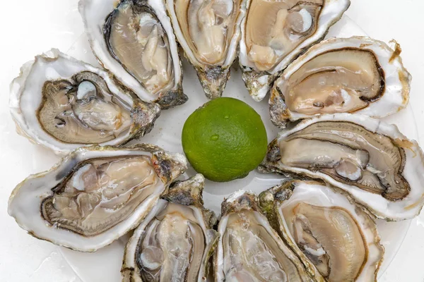 Serviert Offene Frische Austern Meeresfrüchte Auf Teller — Stockfoto