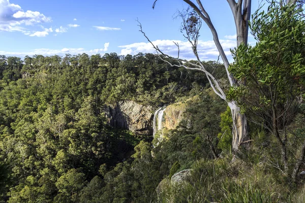 フォークス川のエボル滝の下の秋の風光明媚な眺め ニューサウスウェールズ州北部 オーストラリア — ストック写真