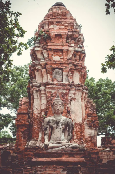 Buddha Szobor Wat Phra Mahathat Templom Ayutthaya Thaiföld — Stock Fotó