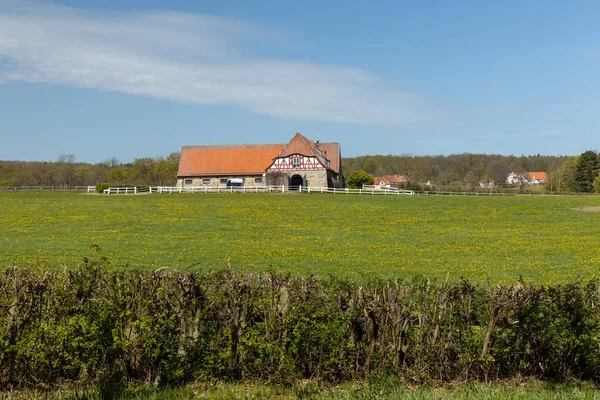 Farma Konna Altefeld Niemczech — Zdjęcie stockowe