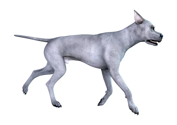 Τρισδιάστατη Απεικόνιση Του Ένα Μπλε Δανέζικος Σκύλος Απομονώνονται Λευκό Φόντο — Φωτογραφία Αρχείου
