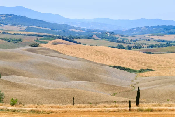 Curves Background Tuscany Hills Summer Landscape Nature Background Royalty Free Stock Photos