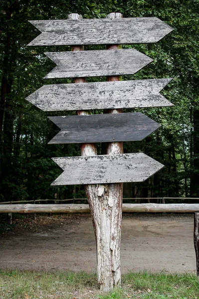 Wooden Signpost Front Forrest Stock Photo