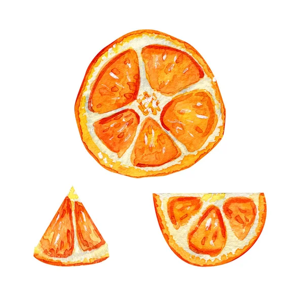 Una Rebanada Naranja Cítricos Verano Fruta Exótica Set Fresco Cóctel — Foto de Stock