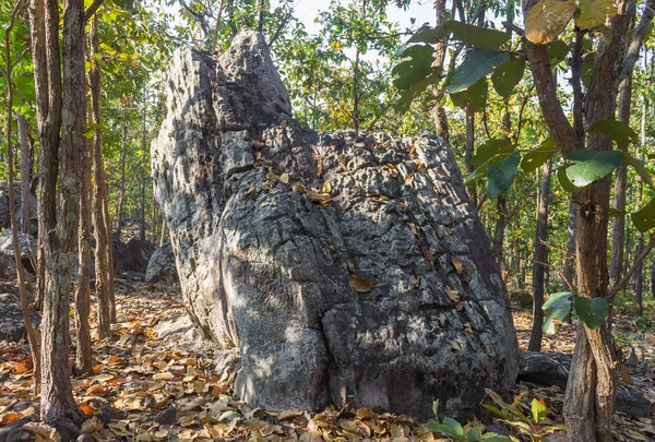 キングシートストーンまたはロック アット パヤオアトラクション Northern Thailand Travel Back 自然の岩や石は タイ北部の旅行パヤオランドマークでキングシートと呼ばれています — ストック写真