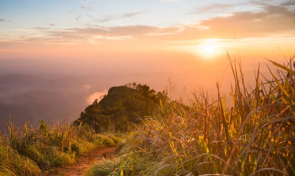 Gold Sunset Light Phu Nom Phu Langka Nationalpark Thailand Mit — Stockfoto