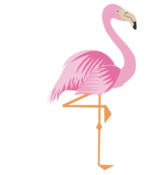 Flamingo Rosa Animal Ilustración Salvaje Exótico Pájaro Tropical Pierna —  Fotos de Stock