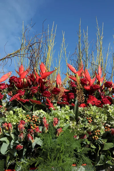 Floristiska Dekoration Med Tropiska Blommor Mot Blå Himmel — Stockfoto