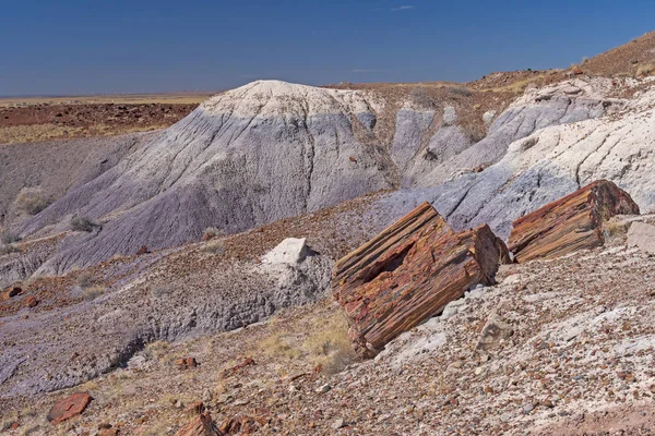 Megkövesedett Színes Dombok Festett Sivatag Megkövesedett Erdei Nemzeti Park Arizona — Stock Fotó