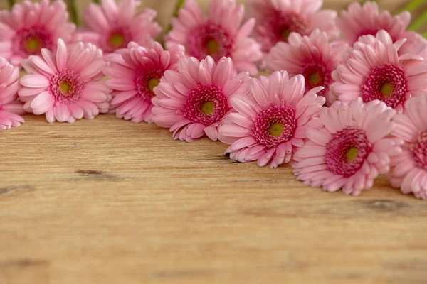 Rosa Gerbera Als Grußkarte — Stockfoto