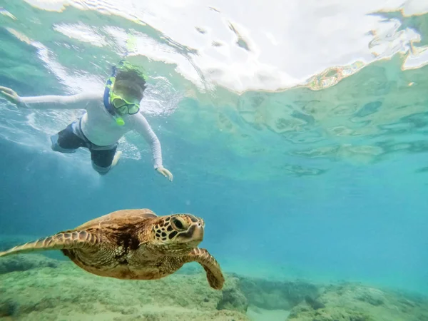 Niño Buceando Océano Observando Tortugas Marinas Verdes Nadando Por Encima —  Fotos de Stock