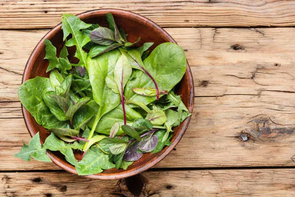 Növényi Saláta Friss Salátával Agyagos Edényben Egészséges Zöldségsaláta — Stock Fotó