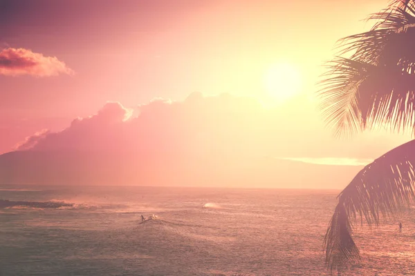 Atardecer Tropical Con Palmeras —  Fotos de Stock