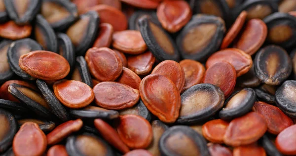 赤と黒のメロンの種の混合物 — ストック写真