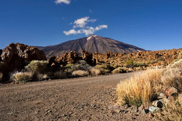 Teide Haute Montagne Espagne Sur Teneriffa Fait Face Spectateur Avec — Photo