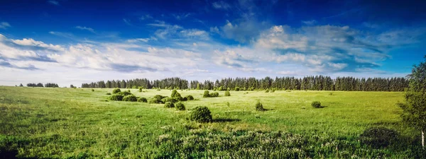 Natureza Rural Paisagem Prado Floresta Verão Panorâmico — Fotografia de Stock