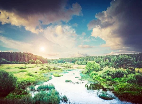 Rzeka Las Lato Krajobraz Natura Wsi — Zdjęcie stockowe