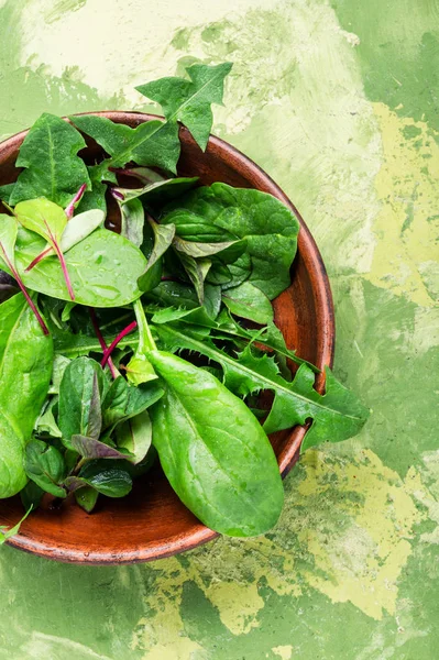 Plantaardige Salade Met Verse Sla Gezond Voorjaarsalade Gemengde Bladsalade — Stockfoto