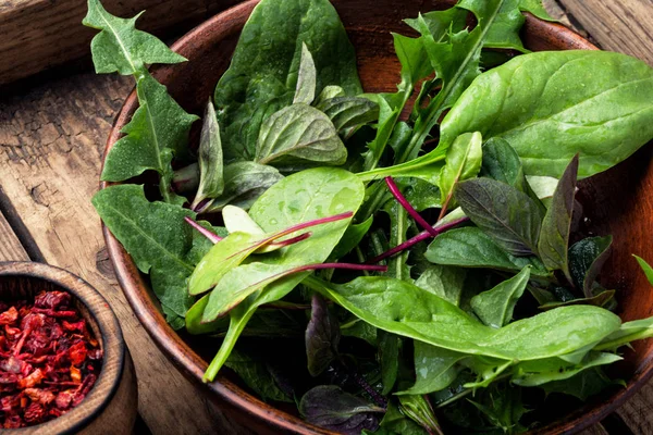 Növényi Saláta Friss Salátával Egészséges Tavaszi Saláta Vegyes Levelű Saláta — Stock Fotó