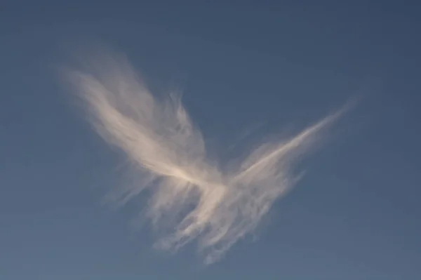 Formação Nuvens Forma Pássaro Voador — Fotografia de Stock