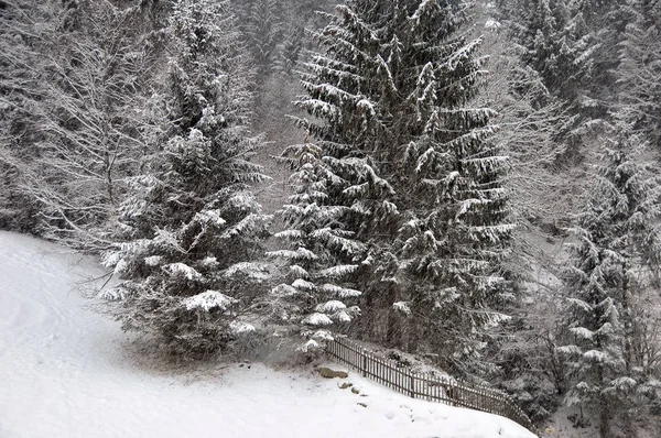 雪の降る風景By Bad Hofasteine — ストック写真