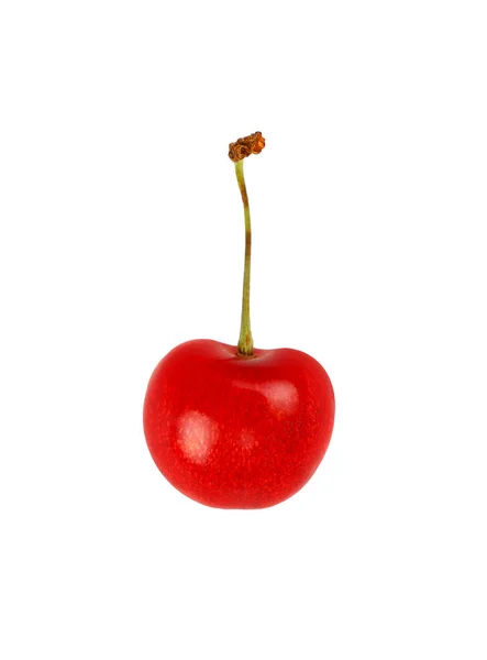 Közelről Egy Friss Piros Érett Édes Cseresznye Bogyó Izolált Fehér — Stock Fotó